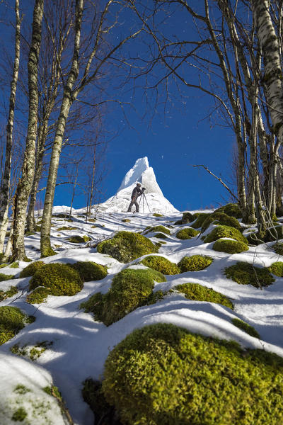 Photographer in the woods next to the snowy peak of the Stetind mountain under a starry sky Tysfjord Nordland Norway Europe