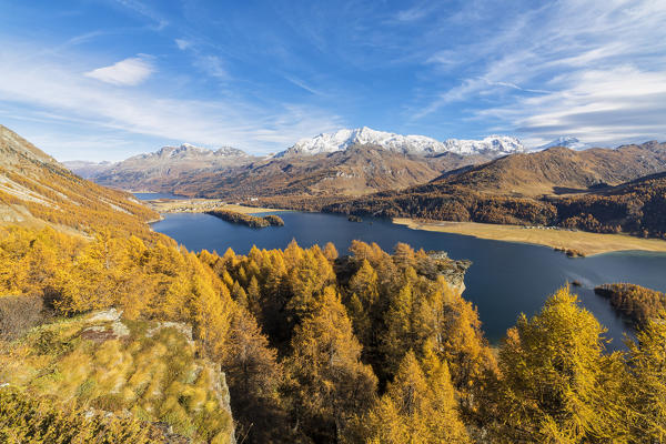 The yellow larches and woods frame Lake Sils in autumn Plaun da Lej Upper Engadine Canton of Graubunden Switzerland Europe