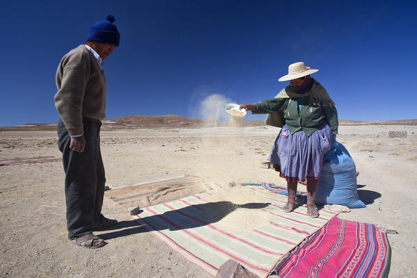 San Juan Lipez: two farmers busy in the traditional post-harvest process to make quinoa grains apt for consumptionin Northern Lipez (Potosì­, Bolivia) South America