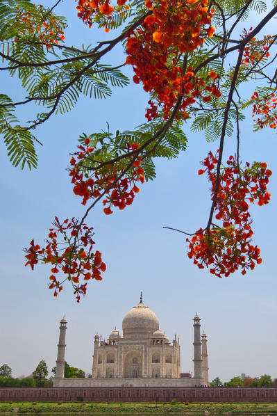 Taj Mahal represents the finest architectural and artistic achievement through perfect harmony and excellent craftsmanship in a whole range of Indo-Islamic sepulchral architecture Agra, India