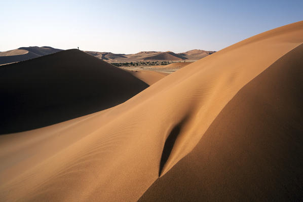 Shadow and light among the sand dunes shaped by wind Deadvlei Sossusvlei Namib Desert Naukluft National Park Namibia Africa