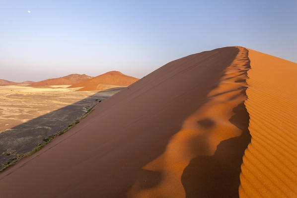 Dune 45 the star dune composed of 5 million year old sand Sossusvlei Namib Desert Naukluft National Park in Namibia Africa