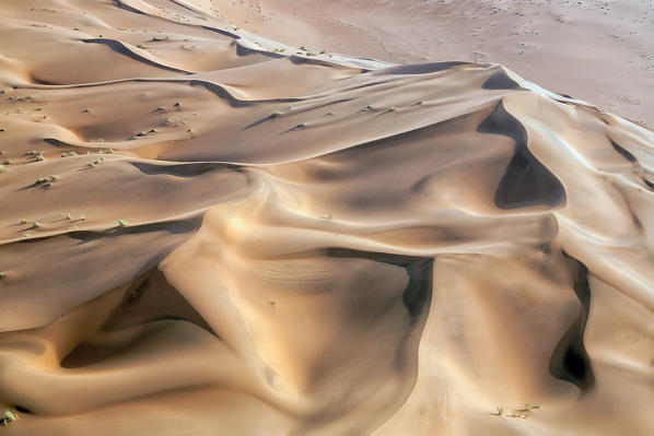 The irregular and peculiar shapes of the dunes of the Namib desert by the Atlantic Ocean seen from a cessna Namibia, Africa