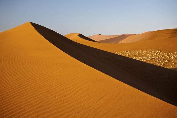 Dried plants among the sand dunes shaped by wind Deadvlei Sossusvlei Namib Desert Naukluft National Park Namibia Africa