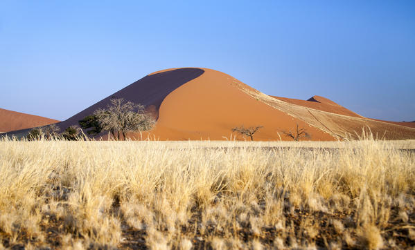 Dune 45 the star dune composed of 5 million year old sand Sossusvlei Namib Desert Naukluft National Park in Namibia Africa