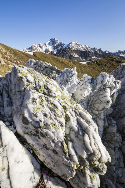 Sasso Bianco frames the snowy peak of Mount Disgrazia Malenco Valley Valtellina Province of Sondrio Lombardy Italy Europe