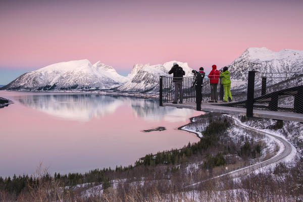 Photographers under the pink sky at dawn surrounded by snowy peaks reflected in sea Bergsbotn Senja Troms County Norway Europe