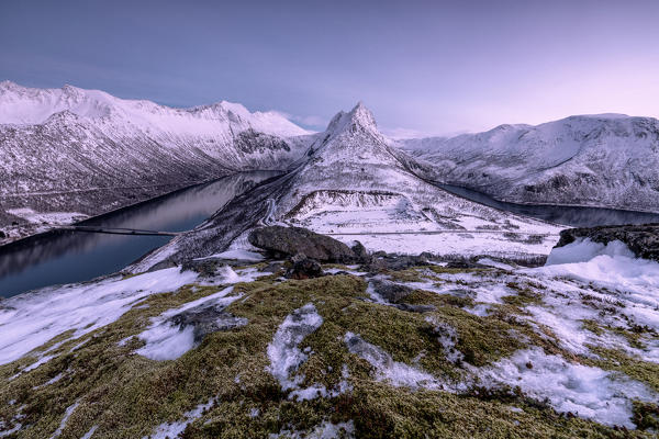 The snowy peaks above the frozen sea framed by the soft lights of dusk Gryllefjorden Senja Troms County Norway Europe