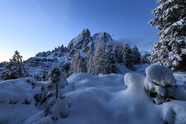 The high peak of Sass De Putia frames the snowy woods  at dawn Passo Delle Erbe Funes Valley South Tyrol Italy Europe