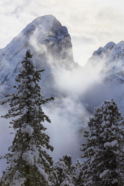 The snowy trees frame Sass De Putia surrounded by morning mist Passo Delle Erbe Funes Valley South Tyrol Italy Europe