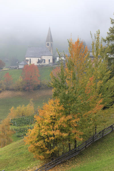 Mist and colorful trees surround the alpine church at fall St. Magdalena Funes Valley South Tyrol Dolomites Italy Europe