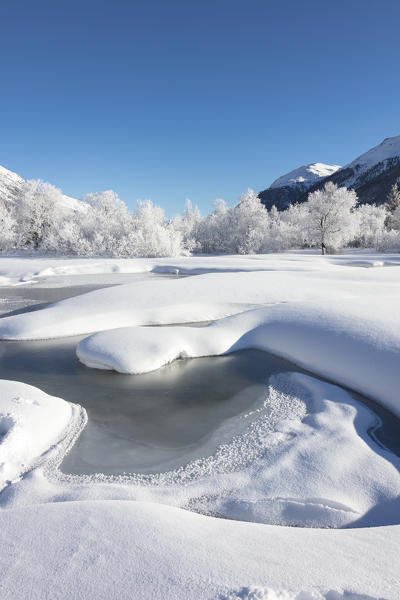 View of the frozen river Inn surrounded by snowy trees Celerina Maloja Canton of Graubunden Engadine Switzerland Europe