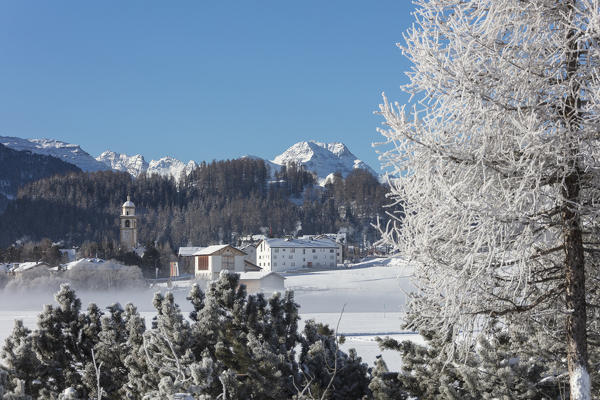 Frost on trees frames the snowy landscape and alpine village Celerina Maloja Canton of Graubunden Engadine Switzerland Europe