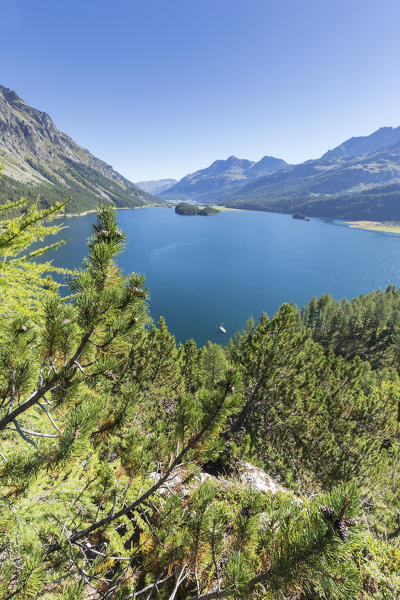 View of the blue lake Sils from Plaun da Lej Canton of Graubünden Engadine Switzerland Europe