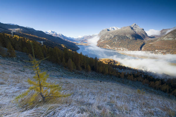 Mist above the blue lake Sils in autumn Surlej St. Moritz Canton of Graubünden Engadine Switzerland Europe