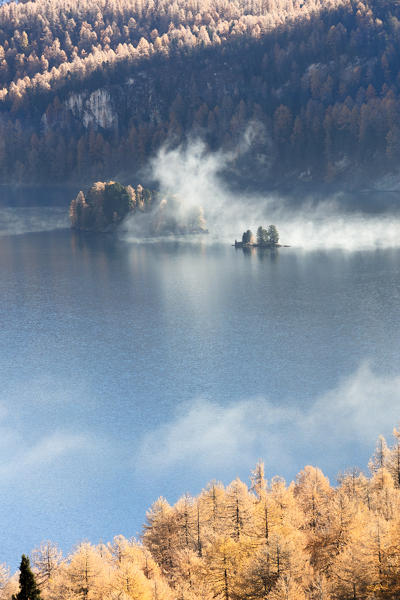 Mist above the blue lake Sils and the colorful woods of autumn Maloja Canton of Graubünden Engadine Switzerland Europe