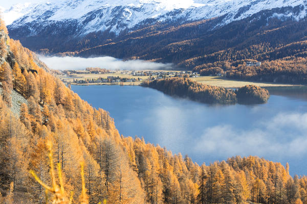 Mist above the blue lake Sils and the colorful woods of autumn Maloja Canton of Graubünden Engadine Switzerland Europe