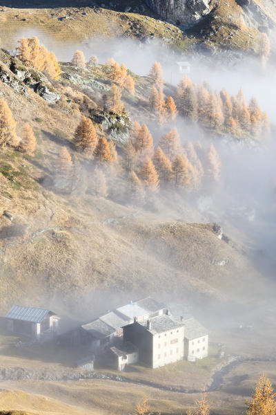Morning fog on the mountain huts of Buaira Sils Maloja Canton of Graubünden Engadine Switzerland Europe