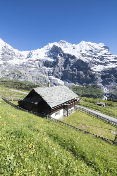 The alpine hut framed by green meadows and snowy peaks Wengernalp Wengen Bernese Oberland canton of Bern Switzerland Europe