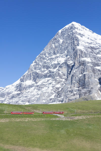 The Wengernalpbahn rack railway runs across meadows and snowy peaks Wengen Bernese Oberland canton of Bern Switzerland Europe