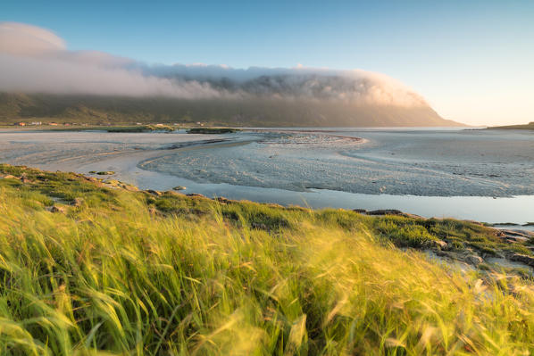 Green grass and sea framed by the midnight sun Fredvang Moskenesøya Nordland county Lofoten Islands Norway Europe