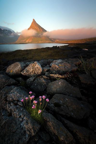 View of the rocky peak of Volanstinden lighted up by the midnight sun surrounded by sea Fredvang Lofoten Islands Norway Europe