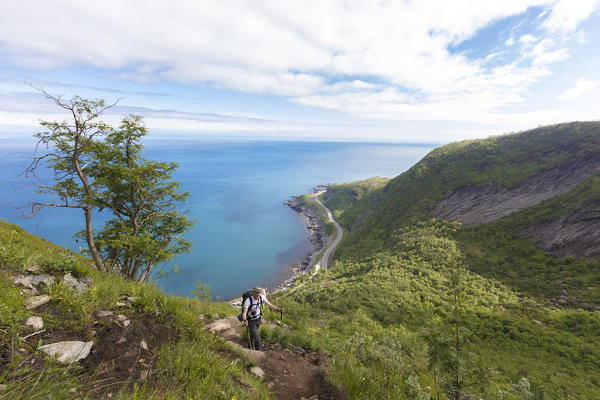 Hiker on path surrounded by woods and turquoise water of the Norwegian sea Reinebringen Moskenes Lofoten Islands Norway Europe