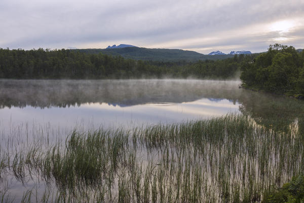 Pink clouds of midnight sun reflected in the clear water of a swamp Bogen Evenes Ofotfjorden Norway Europe