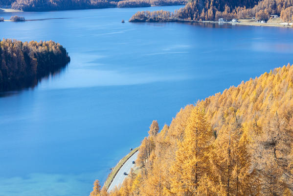 The blue Lake Sils surrounded by the colorful woods of autumn Maloja Canton of Graubünden Engadine Switzerland Europe