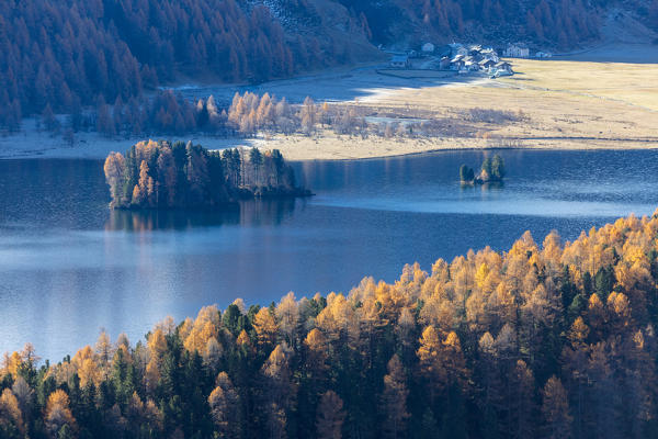 Mist above the blue lake Sils and the colorful woods of autumn Maloja Canton of Graubünden Engadine Switzerland Europe