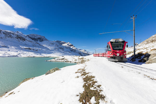 Bernina Express train in the snowy valley surrounded by Lake Bianco Bernina Pass Canton of Graubünden Engadin Switzerland Europe