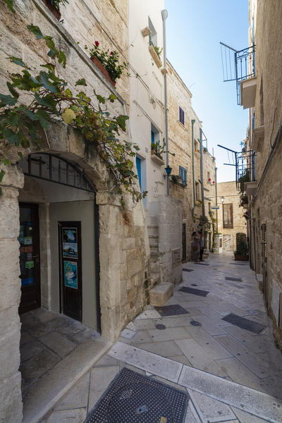 Typical alley and houses of the old town Polignano a Mare province of Bari Apulia Italy Europe