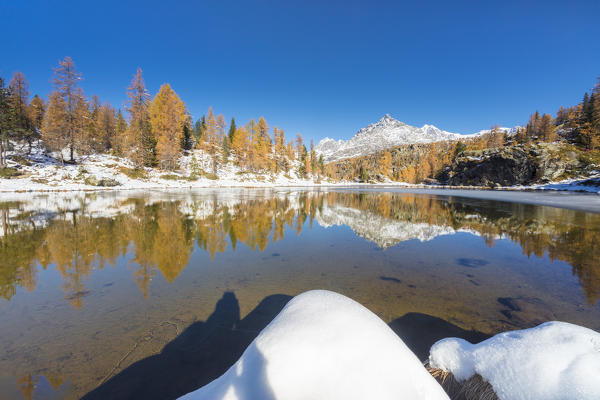 Red larches frame the frozen Lake Mufule Malenco Valley province of Sondrio Valtellina Italy Europe