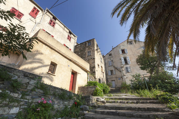 Typical architecture of houses of the old town surrounded by flowers and palm tree Corte Haute-Corse Corsica France Europe
