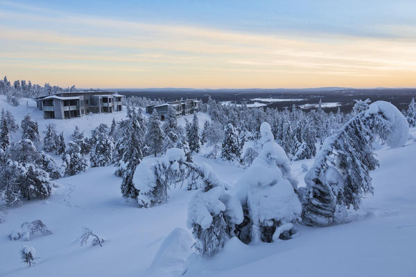 Trees covered with snow in the wild arctic landscape Ruka Kuusamo Ostrobothnia region Lapland Finland Europe