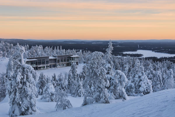 Trees covered with snow in the wild arctic landscape Ruka Kuusamo Ostrobothnia region Lapland Finland Europe