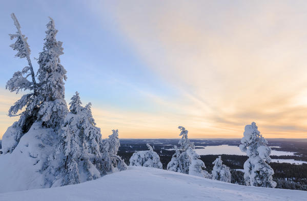 The sun frames the snowy landscape and woods in the cold arctic winter Ruka Kuusamo Ostrobothnia region Lapland Finland Europe