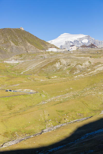 Green meadows and blue sky frame the snowy peak of Mount Ortles at Stelvio Pass Valtellina Lombardy Italy Europe