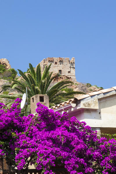 Genoese tower of granite rocks built as fortress of defense framed by colorful bouganville Porto Southern Corsica France Europe