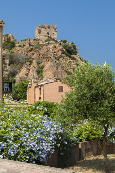 Genoese tower of granite rocks built as fortress of defense framed by colorful flowers Porto Southern Corsica France Europe