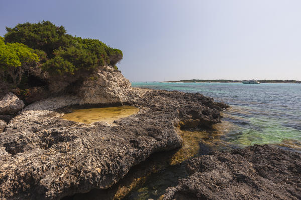 Natural pools and limestone rocks frame the turquoise sea Sperone Bonifacio South Corsica France Europe