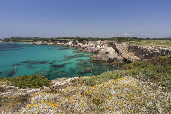 Flowers in the inland frame the turquoise sea and the golf course in summer Sperone Bonifacio South Corsica France Europe