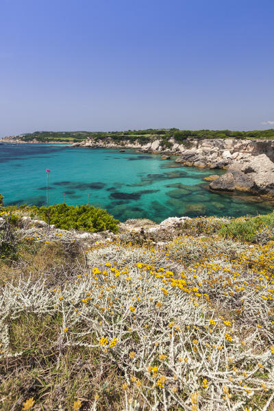 Flowers in the inland frame the turquoise sea and the golf course in summer Sperone Bonifacio South Corsica France Europe