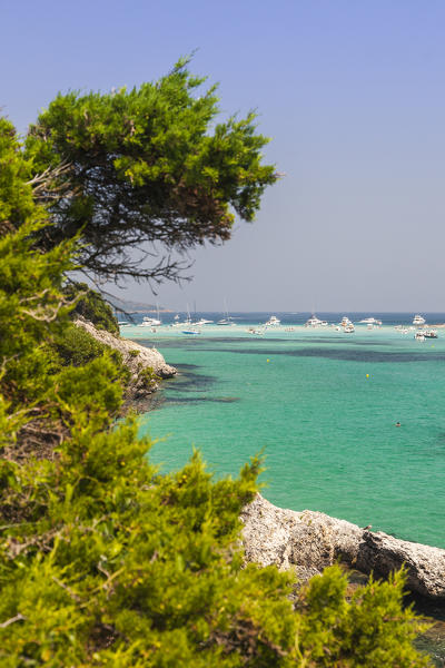 The green vegetation frame the turquoise sea in summer Sperone Bonifacio South Corsica France Europe
