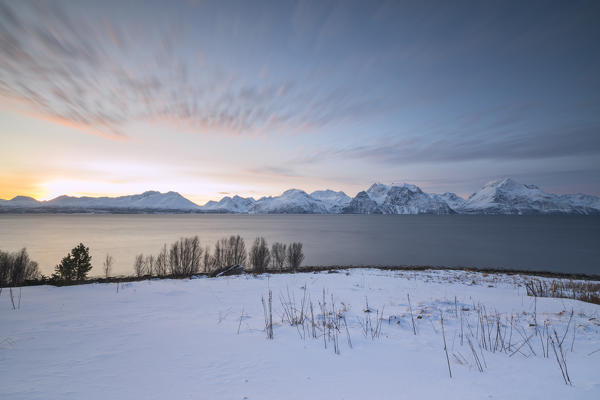 Pink clouds at sunset frame the frozen sea and the snowy peaks Djupvik Lyngen Alps Tromsø Norway Europe