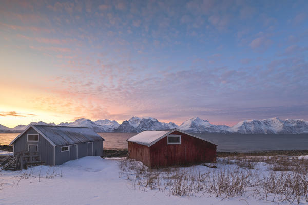 Pink sky at sunset on the wooden huts called Rorbu framed by frozen sea and snowy peaks Djupvik Lyngen Alps Tromsø Norway Europe