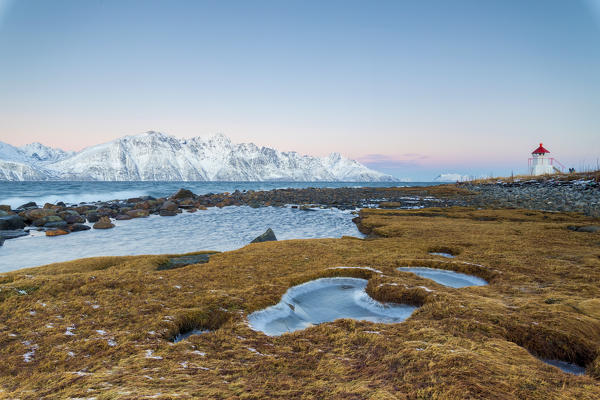 Grass covered with ice frames the lighthouse surrounded by frozen sea at dawn Djupvik Lyngen Alps Tromsø Norway Europe