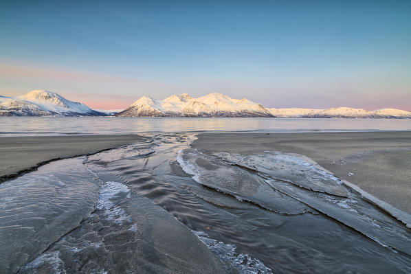 Pink sky at dawn frames the snowy peaks and frozen sea surrounded by sandy beach Svensby Lyngen Alps Tromsø Norway Europe