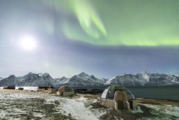 The Northern Lights and moon illuminate the glass igloos framed by icy sea Djupvik Lyngen Alps Tromsø Norway Europe