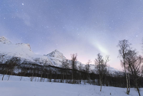 The Northern Lights and starry sky illuminate the snowy landscape and woods Nordkjosbotn Lyngen Alps Tromsø Norway Europe